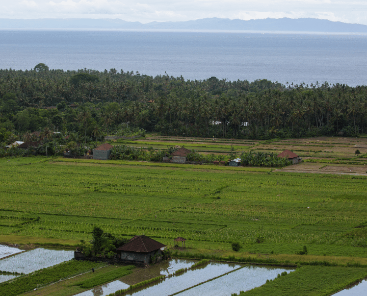 Investing in Land in Bali